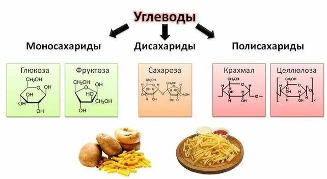 Углеводы формула полисахариды. Углеводы простые и сложные моносахариды дисахариды полисахариды. Углеводы моносахариды дисахариды полисахариды формулы. Строение простых и сложных углеводов. Углеводы к какой группе относится