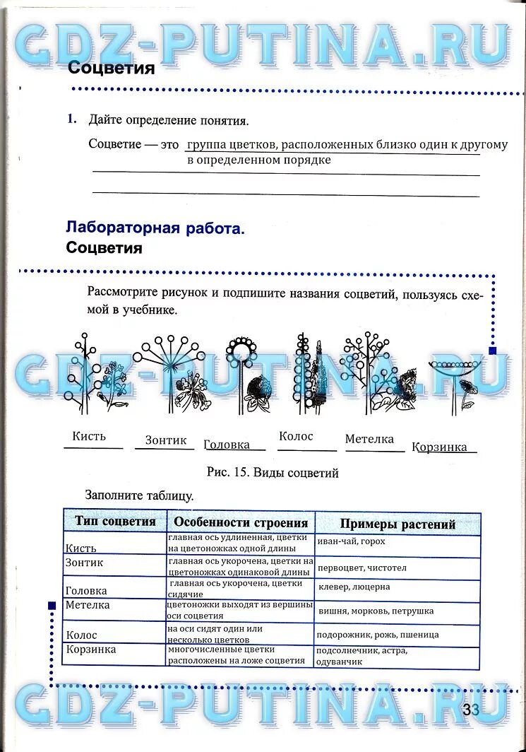 Сделать лабораторную работу по биологии 6 класс. Сделать лабораторную работу по биологии 6 класс