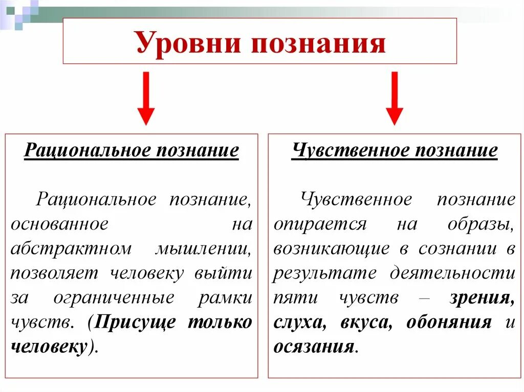 Уровни познания чувственное и рациональное познание. Чувственный и рациональный уровни познания. Уровни чувственного познания. Научное и рациональное познание.