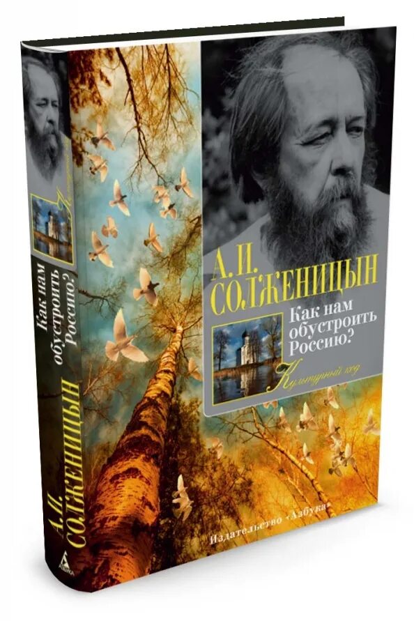 Статью как нам обустроить россию. Как нам обустроить Россию Солженицын. А. Солженицына «как нам обустроить Россию?». Как нам обустроить Россию? Книга. Солженицын как нам обустроить Россию Издательство Азбука.