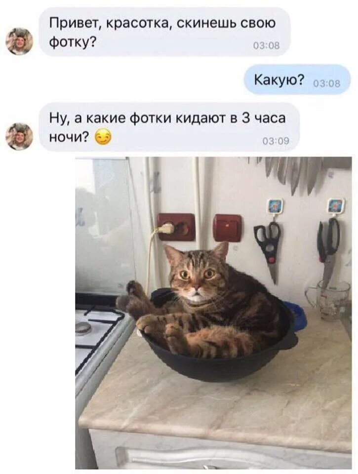 покажи грудь пожалуйста. пришли фото без белья юмор картинка. скинешь фоточки. приколы про зиму. картинки скинь мне свою фотографию.