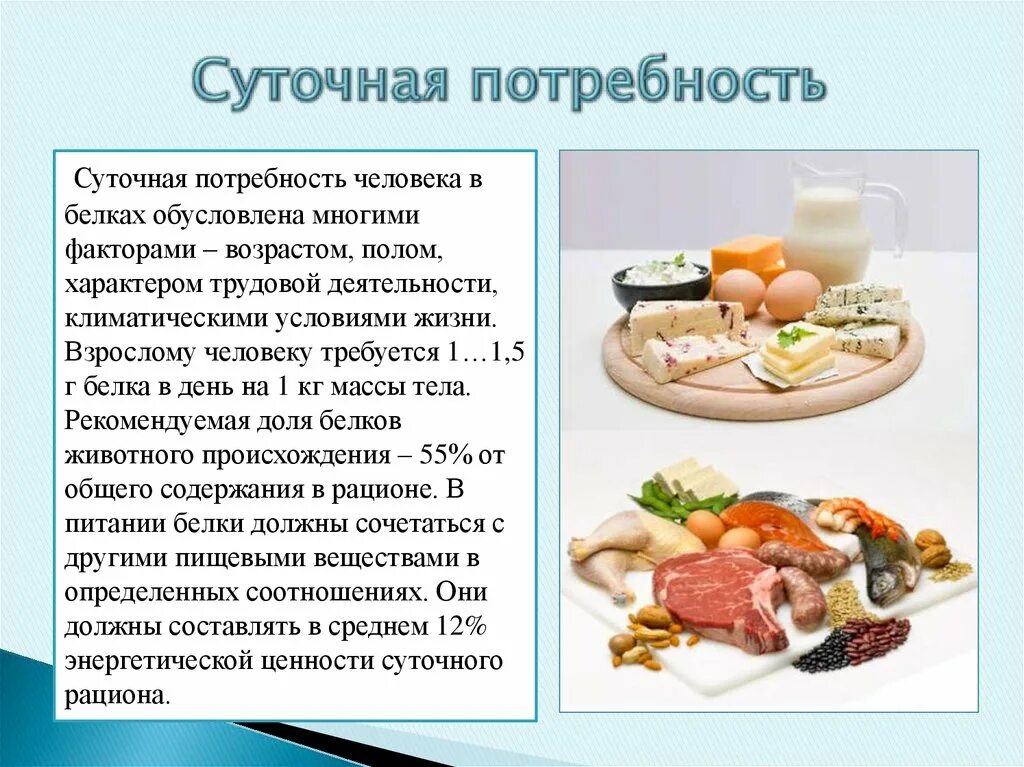 Норма употребления белков. Суточная потребность белка. Суточная потребность в белках. Суточная потребностьбелкп. Потребность человека в белках.