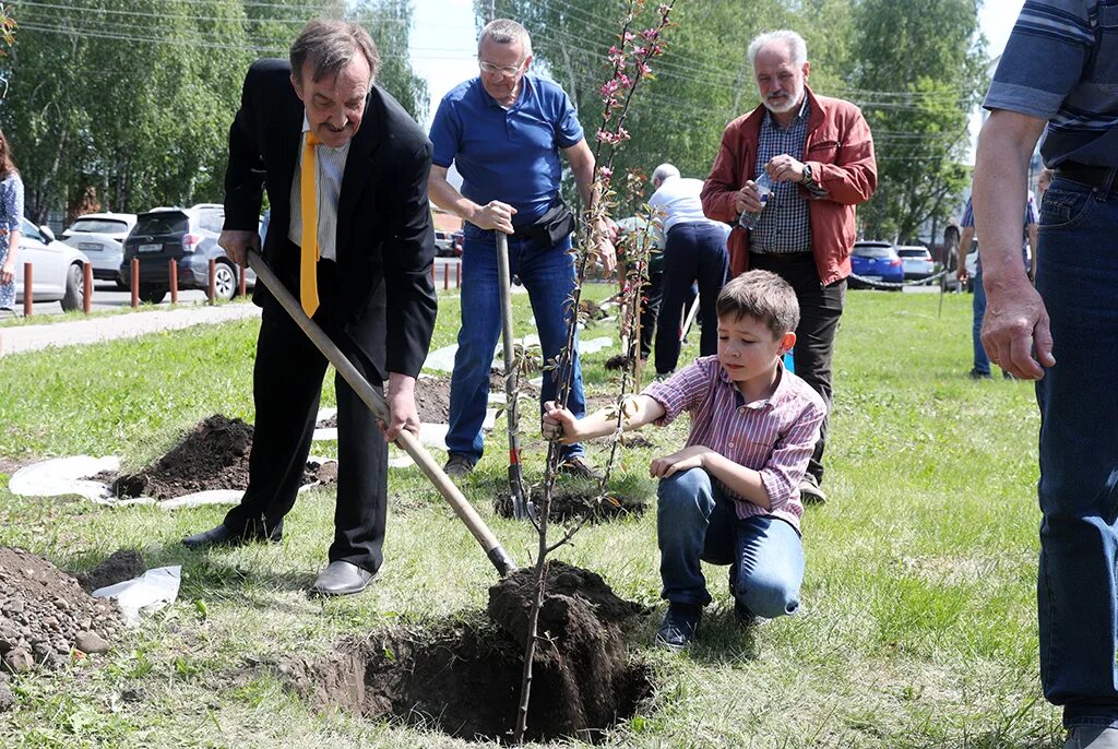 Посадка деревьев выпускниками