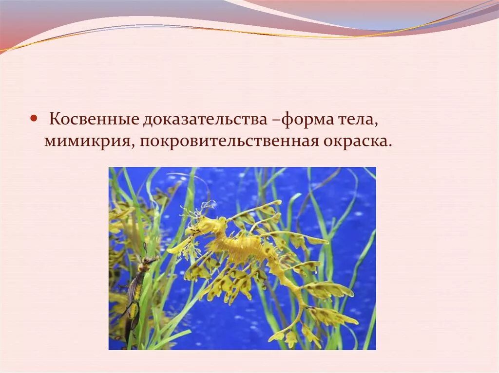Доказательства естественного отбора. Доказательства естественного отбора. Естественный отбор главная движущая сила эволюции. Естественный отбор и видообразование. Доказательства естественного отбора.