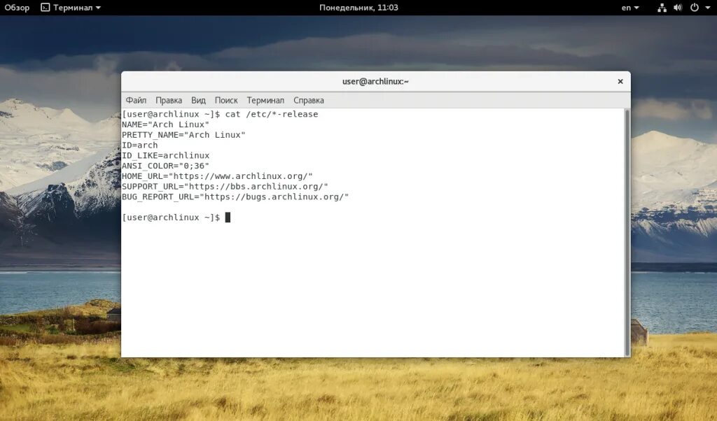 Версия линукса в консоли. Linux версии. как узнать версию linux. как узнать дистрибутив линукс. терминал версия линукс.