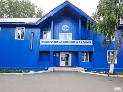 Налоговая пионерская