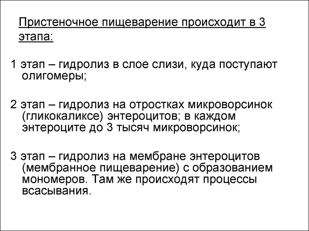 Гидролиз в пищеварении. Пристеночное пищеварение. Пристеночное пищеварение происходит в. Полостное и мембранное пищеварение физиология. Фазы пристеночного пищеварения.