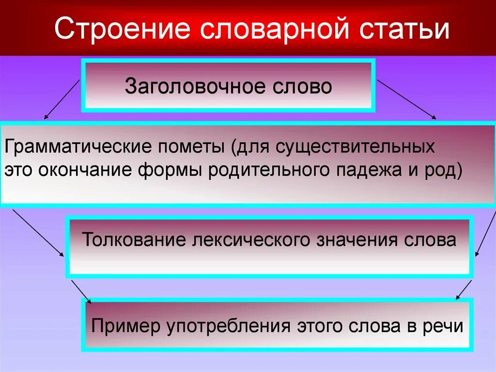 Из чего состоит структура словарной статьи. Словарная статья. Строение словарных статей. Основные части словарной статьи.