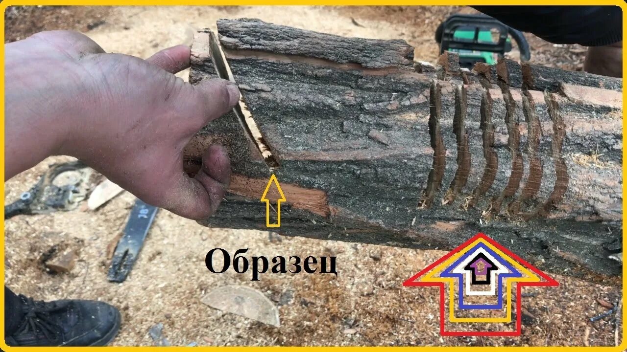 На лесопильном заводе каждую минуту пила отпиливает. Бензопила криво пилит причины. почему на бензопиле шину уводит в сторону. пила пилит влево. почему бензопила пилит криво в одну сторону.