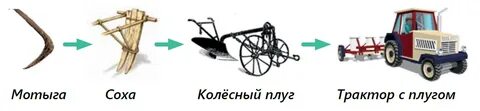 Соха налог