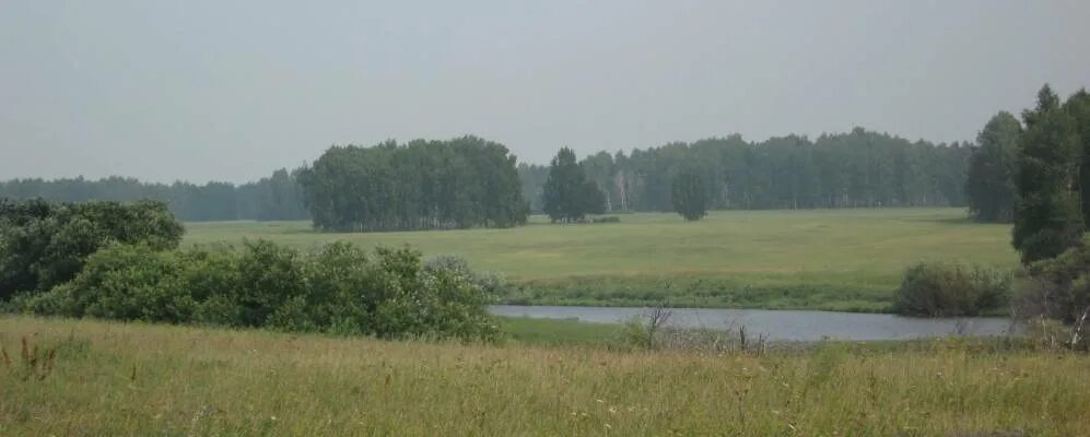 Деревня коченево новосибирская область. Погода белобородово новосибирская область коченевский. Погода белобородово новосибирская область коченевский. Погода белобородово новосибирская область коченевский. Погода белобородово новосибирская область коченевский.