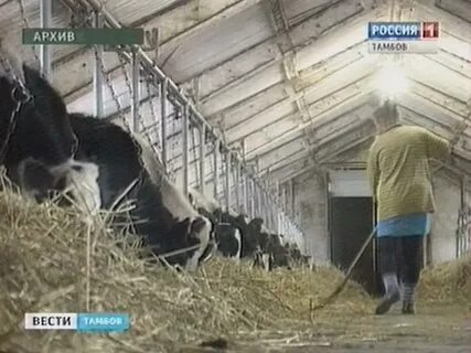 И стал вести хозяйство