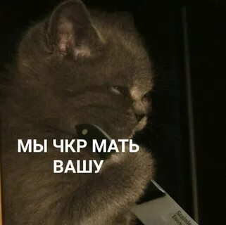 Чкр
