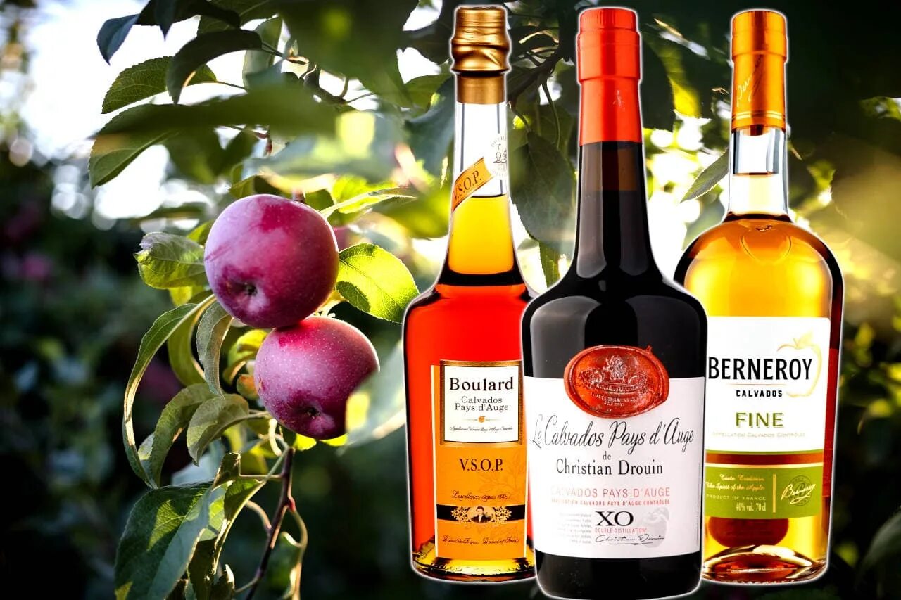 Calvados Apple Brandy. Алкогольный напиток кальвадос. Яблочный виски кальвадос. Кальвадос Камю. Французское фруктовое