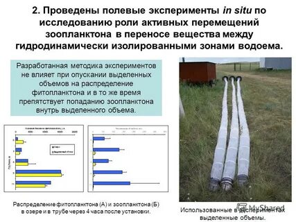 Полевой опыт