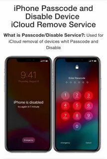 Support iphone passcode