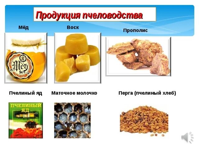 Продукты пчеловодства. Полезные продукты пчеловодства. Пчелиная продукция. Продукты пчеловодства буклет. Продукты пчеловодства и их использование