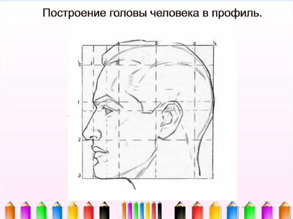 13 урок изо. Портрет человека в профиль 6 класс изо. Изображение головы человека. Изображение головы человека в пространстве. Построение головы человека в профиль.