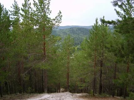 Фгбу нп хвалынский хвалынск