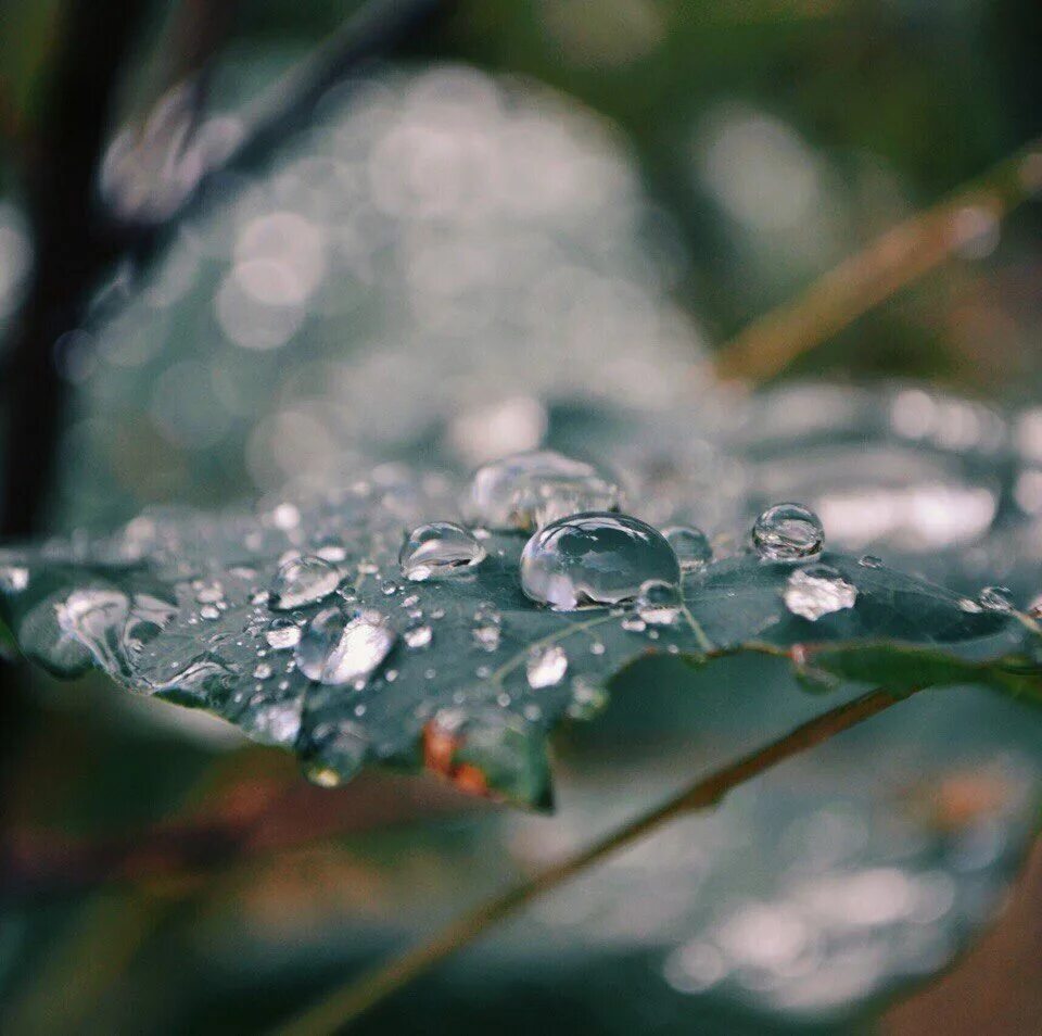 Название после дождя. Свежесть после дождя. Красота дождя. Дождь свежесть. Воздух после дождя.