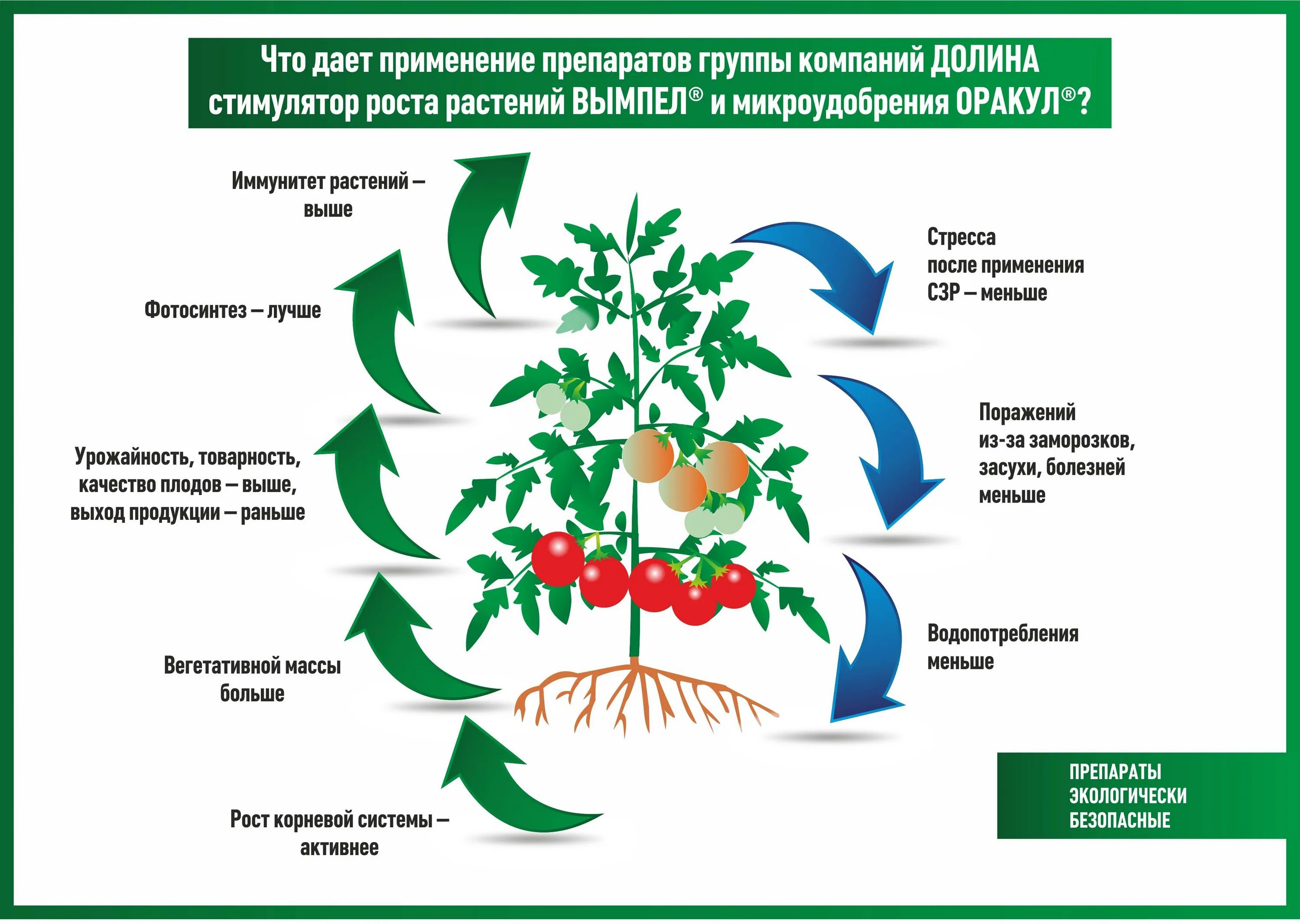 Натуральные стимуляторы роста