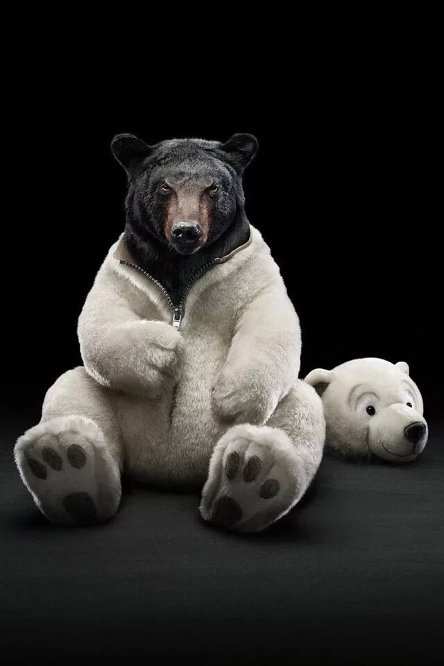 Медведь вертикальное фото Search Results for "grizzly bear iphone wallpaper" Adorable Wallpapers Bear wa