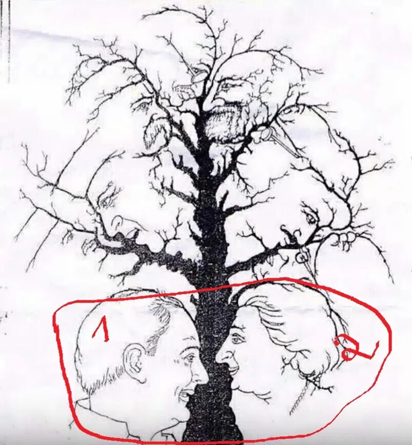 Сколько видите на картинке. Картина дерево лицо. Сколько лиц на картинке дерево. Сколько лиц на картинке. Сколько лиц вы видите на дереве.
