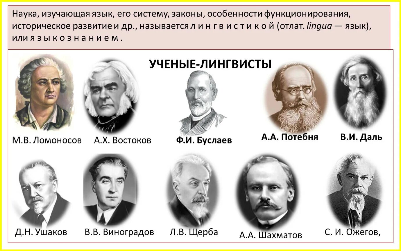 Ученые лингвисты. Известные лингвисты. Великие ученые русского языка. Великие русские учёные лингвисты.