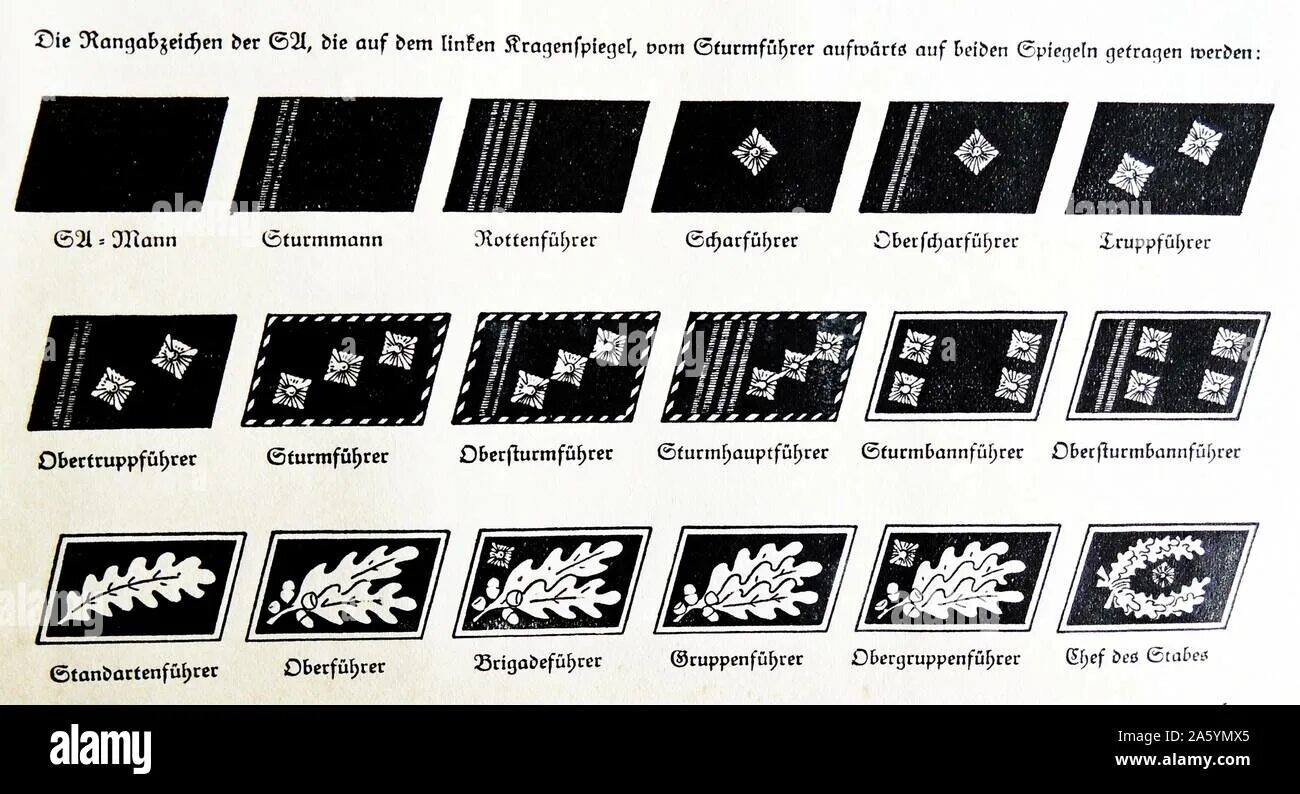 Ss ranks. Звания третьего рейха СС. Воинские звания СС В фашистской Германии. Звания СС У немцев и их соответствия. Звания СС В третьем рейхе соответствие.