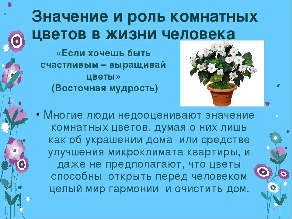 Цвети значение слова. Комнатные растения и их роль. Значение комнатных растений в жизни человека. Роль комнатных растений в жизни. Комнатные цветы значение.