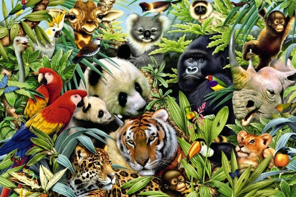 Разные животные. Много зверей. Животные джунглей. Обитатели джунглей для детей.