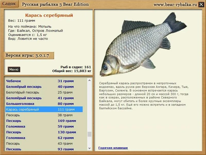 Русская рыбалка 3 карась серебряный