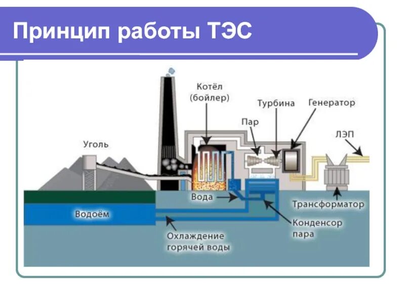Принцип работы грэс. Принцип работы теплоэлектростанции схема. тэц схема и принцип работы. принцип работы тепловой электростанции кратко. схема устройства тепловой электростанции.