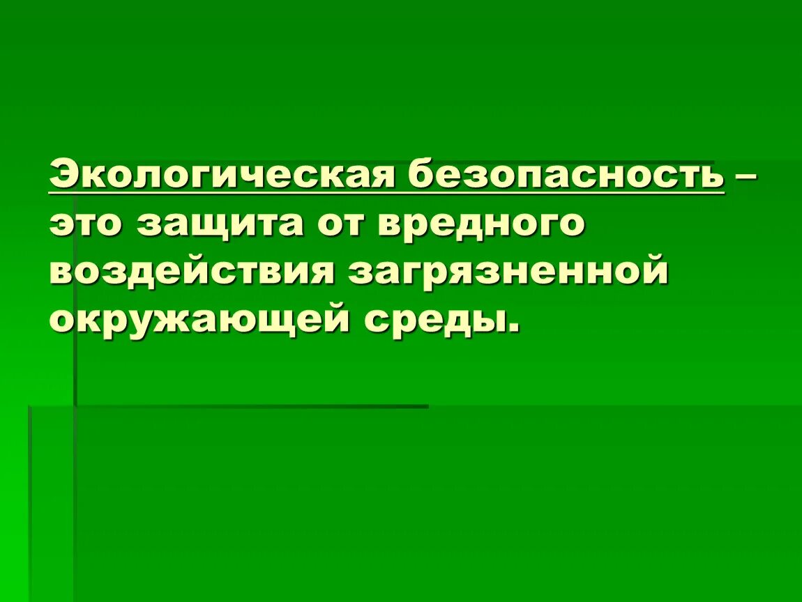 Экологическая безопасность это определение