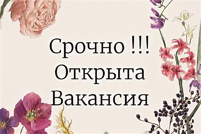 Вакансия посредник