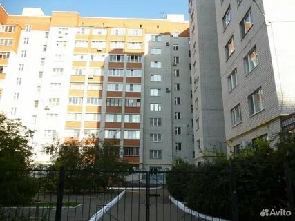 Квартиры любы шевцовой