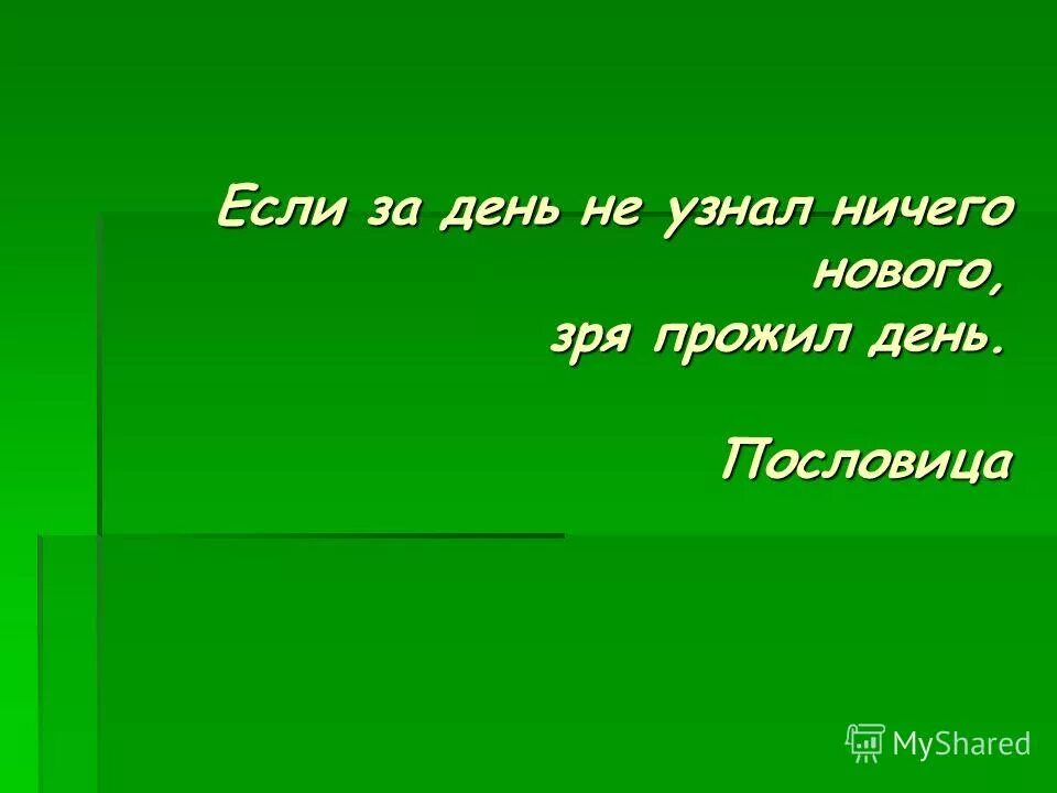 шутки из простоквашино. ничего не узнал. ничего не узнал. я доктор что случилось. замкнулась в себе цитаты.