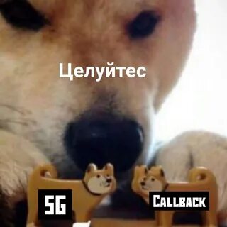 Ская мем