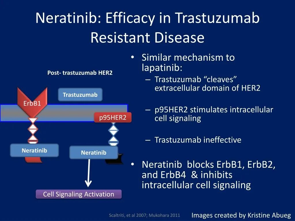 Нератиниб. Нератиниб производитель. Нератиниб купить. Result breast Cancer her2 Low Brasil. Resist and disorder