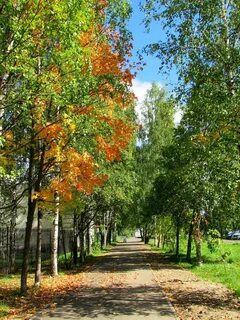 Ранняя осень какая