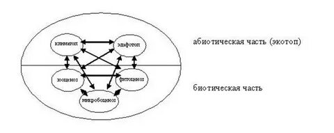 Экосистема абиотические