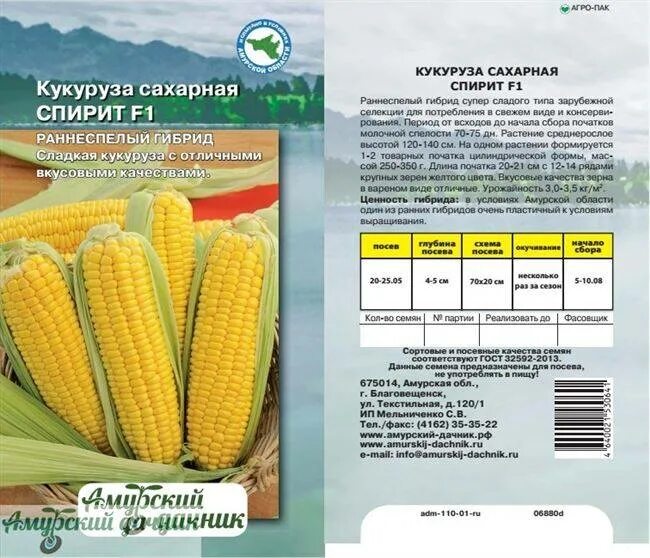 Форма семени кукурузы. Кукуруза хони бэнтам. Кукуруза сколько семян. Вес 1000 семян кукурузы. Зерновка кукурузы.