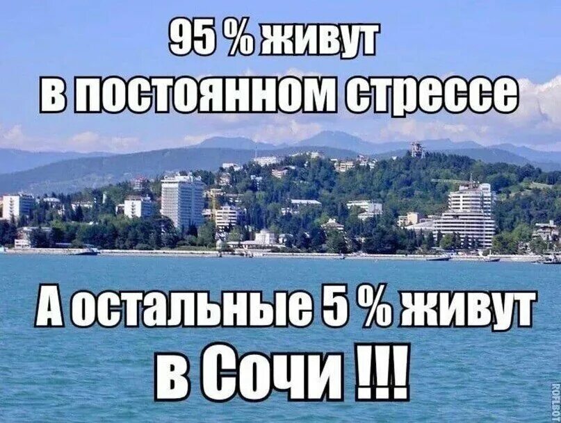 Приезжай в сочи отдохнуть. Шутки про сочи. сочи прикол. прикольные цитаты о сочи. цитаты про сочи.