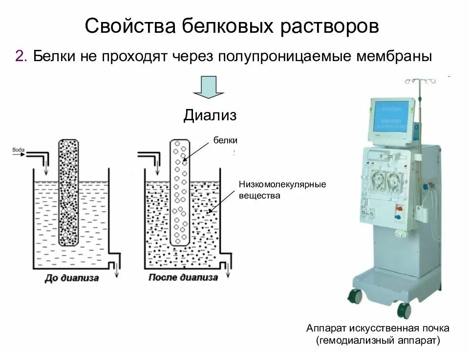 Свойства белковых растворов. Диализ схема проведения биохимия. Метод диализа белков. Диализ метод очистки белков. Принцип метода диализа белков.