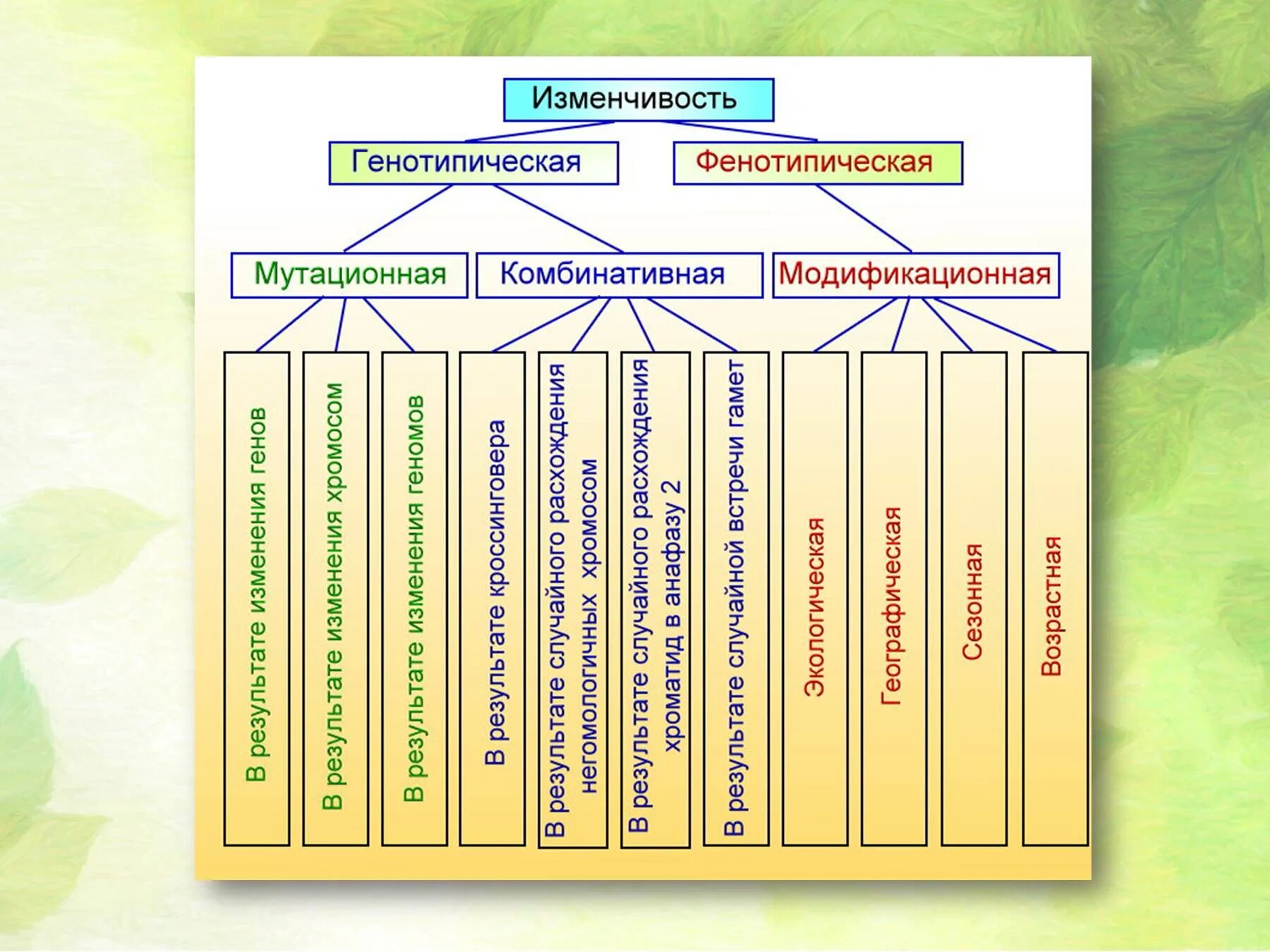 Изменчивость организма наследственная изменчивость комбинативная. Формы изменчивости организмов таблица. Типы модификационной изменчивости. Наследственная изменчивость комбинативная и мутационная. Изменчивость таблица биология