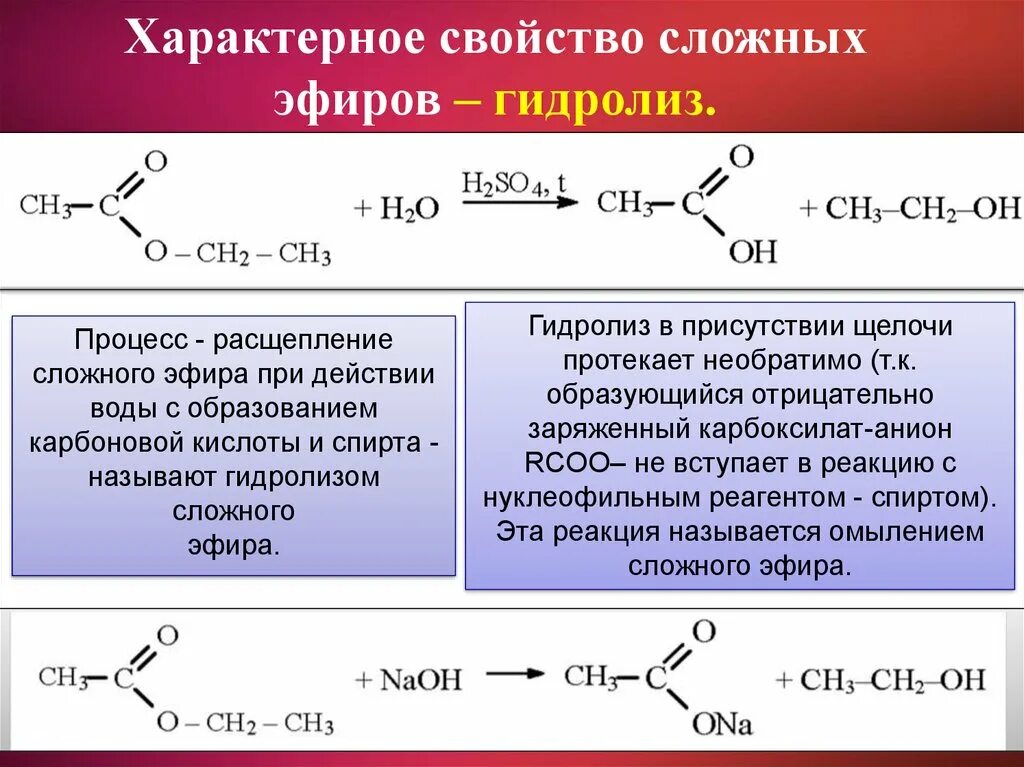 Гидролиз этилового эфира уксусной кислоты. Гидролиз сложного эфира с4н802. Щелочной гидролиз этилацетата катализатор. Гидролитическое расщепление сложных эфиров. Гидролиз эфиров эфира аминоуксусной кислоты.