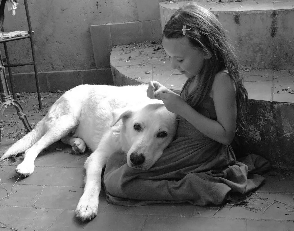 Женщина любит животных. Бездомные животные. Дети и бездомные животные. Любовь человека к животным. Милосердие к животным.