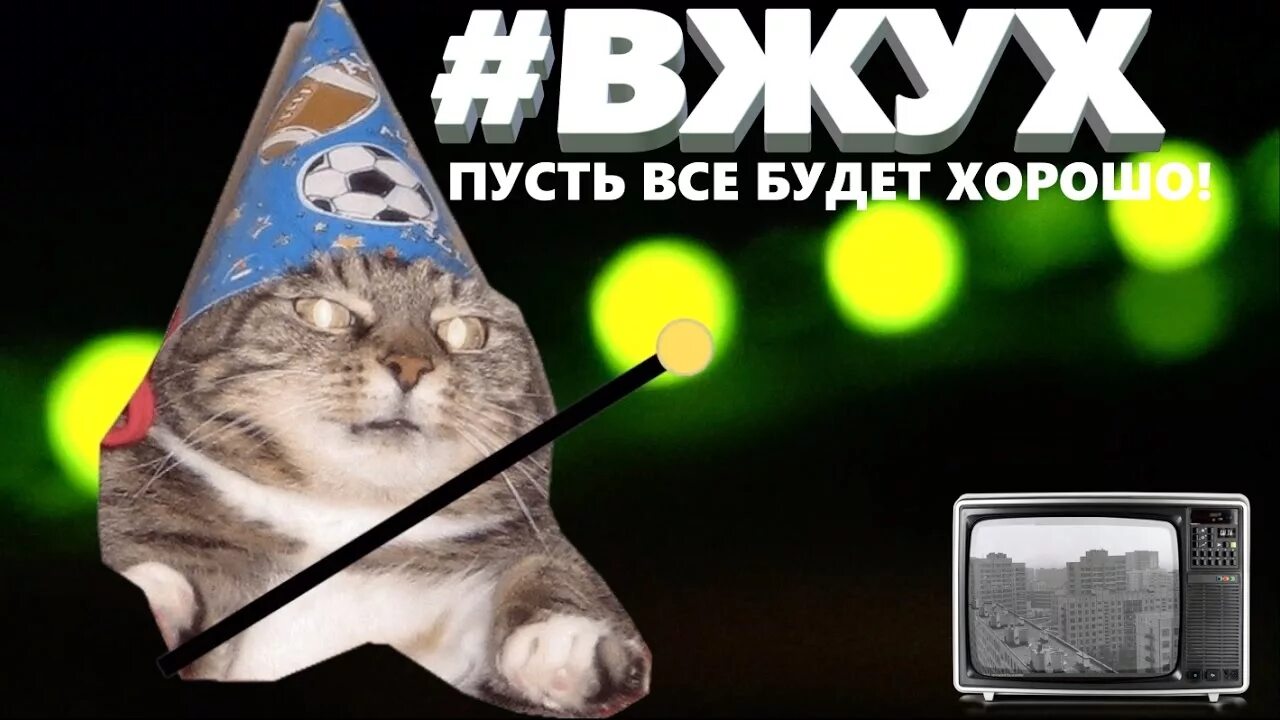 Вжух!. Котенок вжух. Кот вжух вжух. Кот с палочкой вжух. Звук перехода вжух