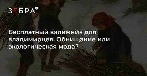 Сбор валежника в 2024