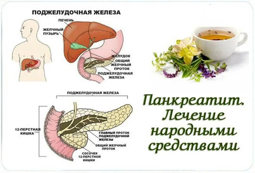 Симптомы при заболевании поджелудочной железе. Болит поджелудочная железа симптомы. Поджелудочная желелеза. Панкреатит поджелудочной железы.